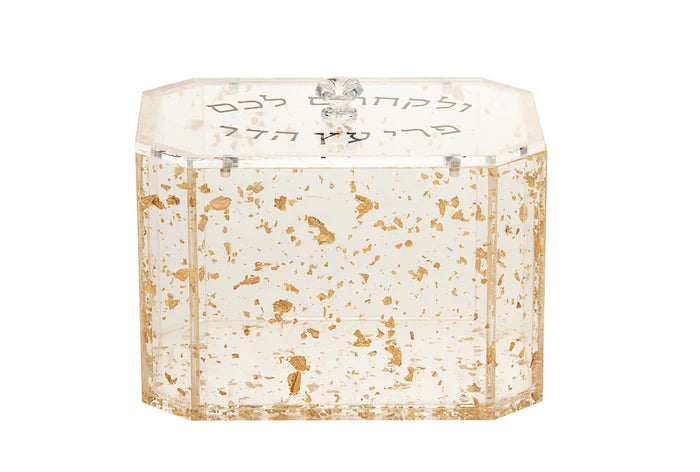 lucite esrog box gold pebble