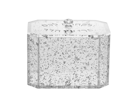 lucite esrog box silver pebble